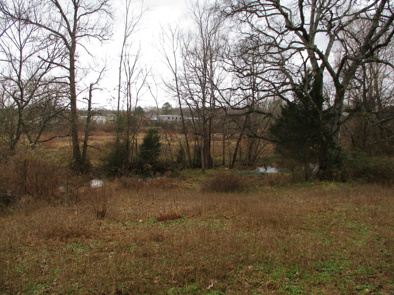 Highway 11 & County Rd 716: Highway 11 & County Rd 716, Riceville, TN 37370
